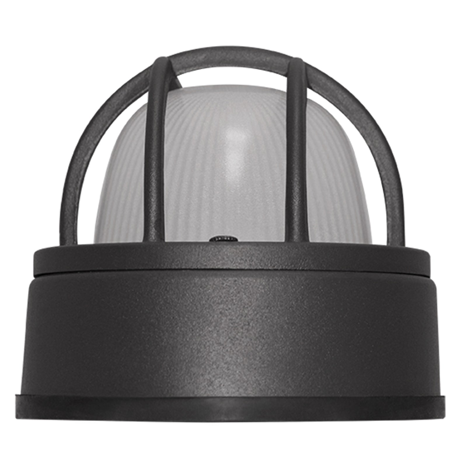Versatile Outdoor Lighting Fixture with Grid Encasing and Oval Shape