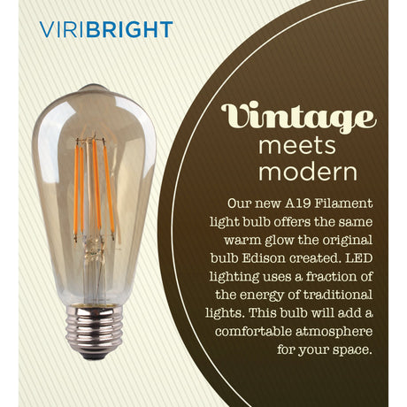 40-Watt Equivalent ST19 Shape E26 Base LED Edison Light Bulb 400 Lumens Amber