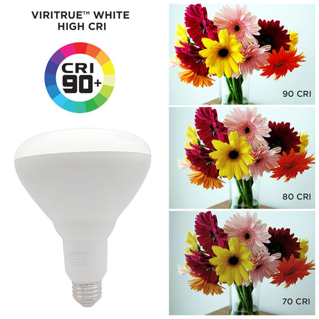75-Watt Equivalent BR40 E26 Dimmable LED Flood Light Bulb