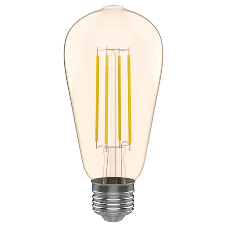 LED Filament Bulbs