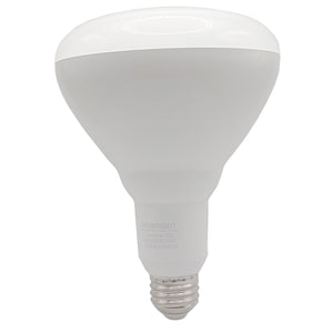 BR Bulbs