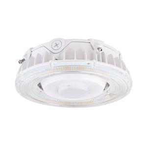 Canopy Lights