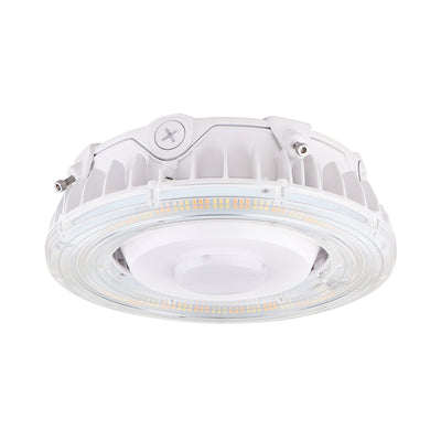 VIRIBRIGHT CANOPY LIGHTS