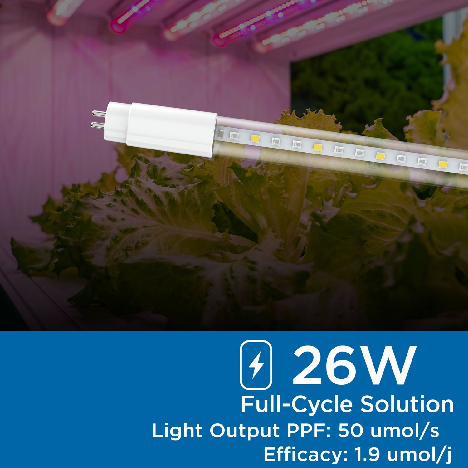 LED Grow Light Tube, T5, Type A - 4200K