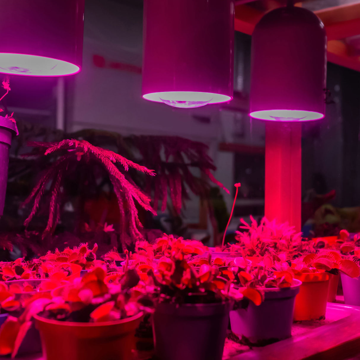 Virigrow BR30 E26 Base Indoor Garden LED Grow Light Bulb