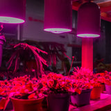 Virigrow BR30 E26 Base Indoor Garden LED Grow Light Bulb