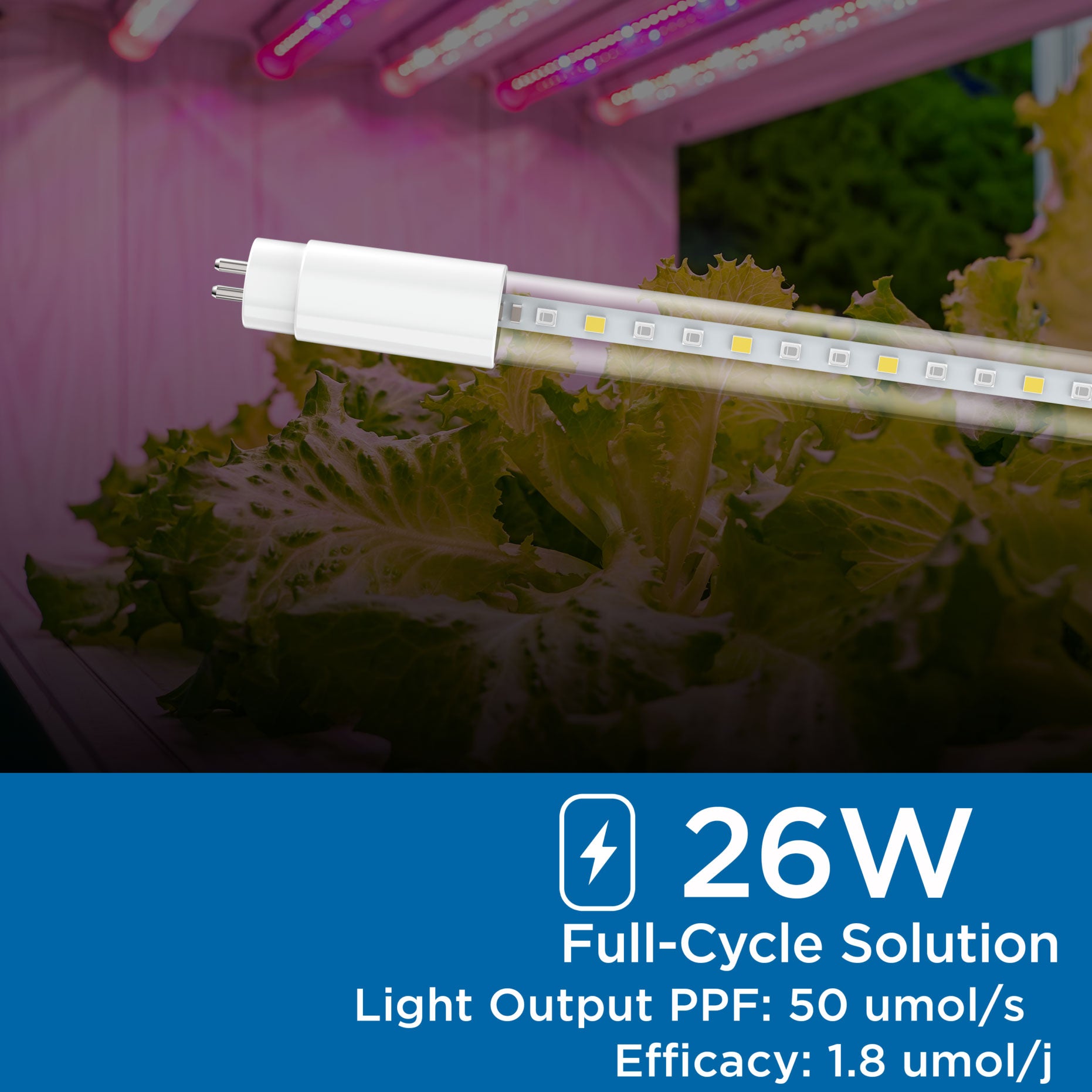 The Viribright Virigrow grow bulb tube installed in a vertical farming setup, providing optimal lighting for healthy plant growth.