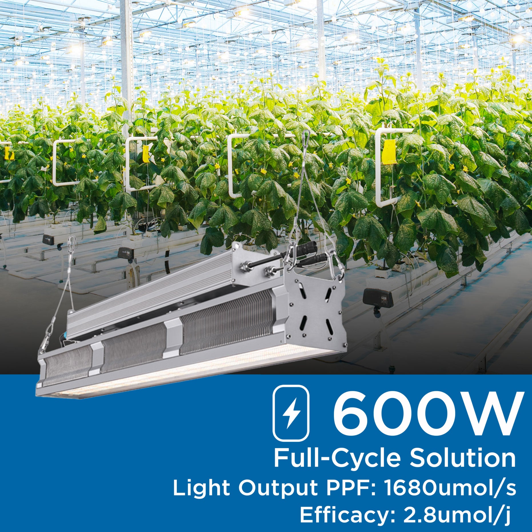 600-Watt LED Grow Light Fixture FSB Spectrum 600-Watt LED Grow Light Fixture FSB Spectrum