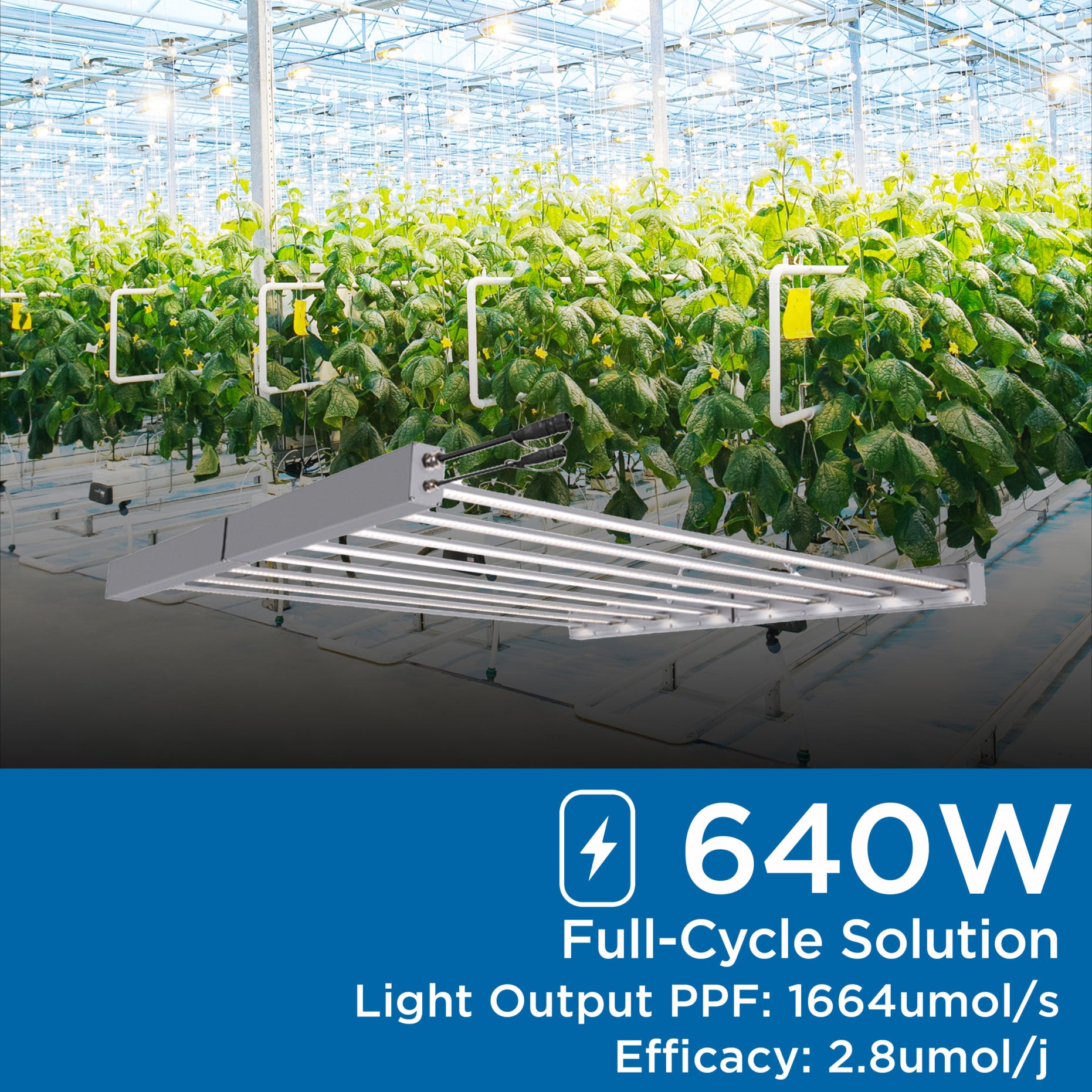 640-Watt LED Grow Light Fixture FSB Spectrum
