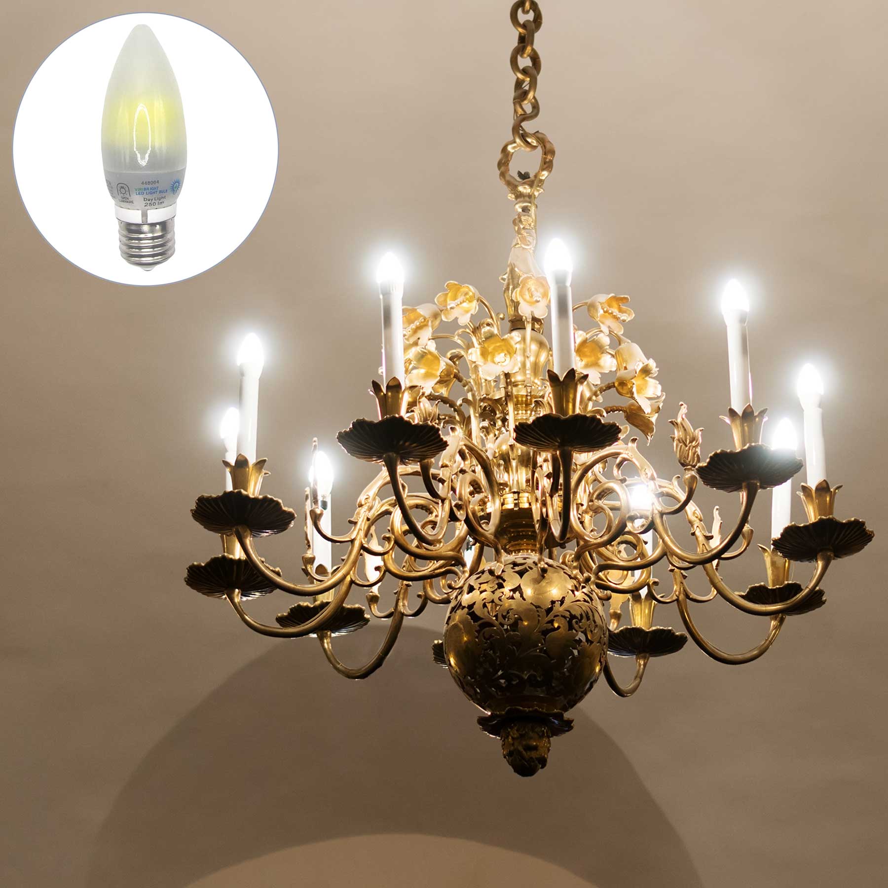 Chandelier with Frosted LED Light Bulb