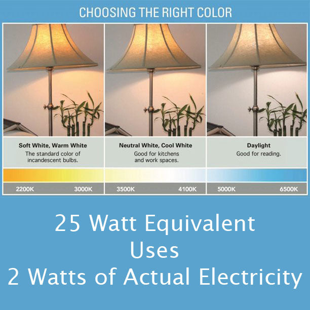 Globe 25-Watt Equivalent BMIIc G15 E26 LED Light Bulb